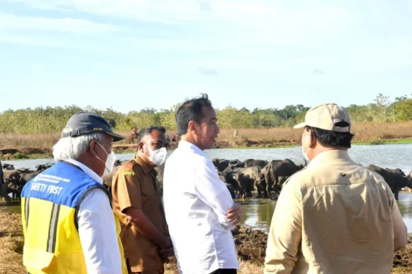 Presiden Serap Aspirasi Peternak Kerbau di Pulau Moa soal Kesulitan Air 1024x683 1