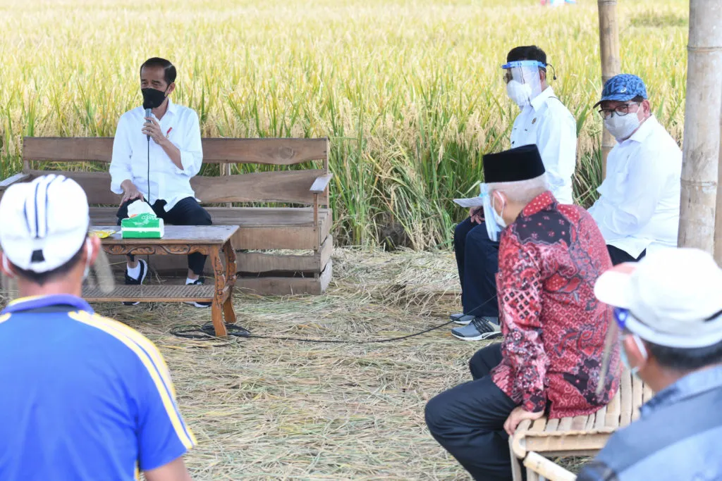 Presiden Tinjau Panen Padi 1 1024x683 1