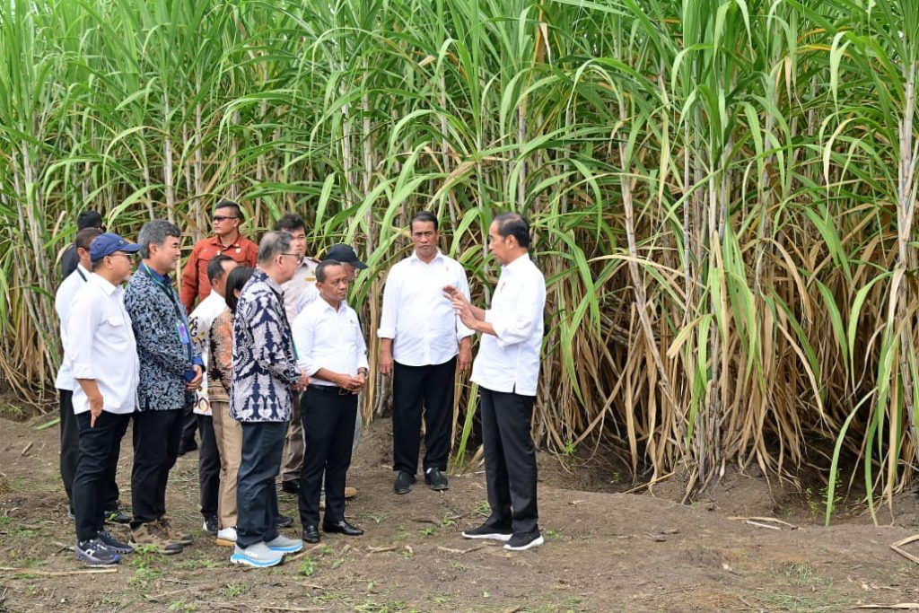 Tanam Tebu Perdana di Merauke Presiden Pemerintah Fokus Kembangkan Ketahanan Pangan 1024x683 1