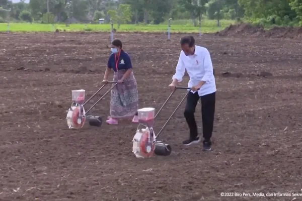 Tinjau Food Estate Belu Presiden Jagung sebagai Komoditas Unggulan