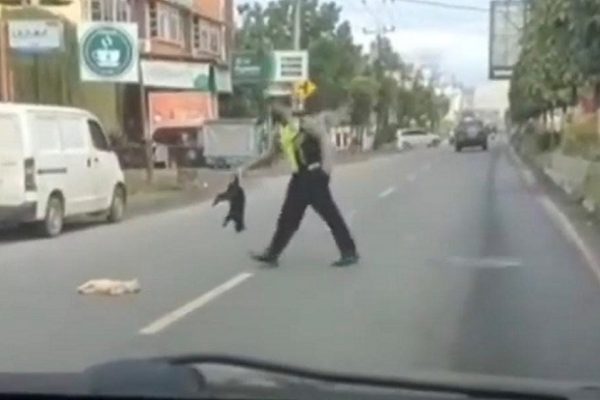 aksi viral personel polres langkat kubur kucing mati dapat apresiasi kapolda sumut 19808