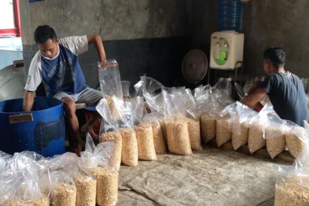 antisipasi aksi penimbunan kedelai satgas pangan polda jabar cek penjual dan distributor 15862