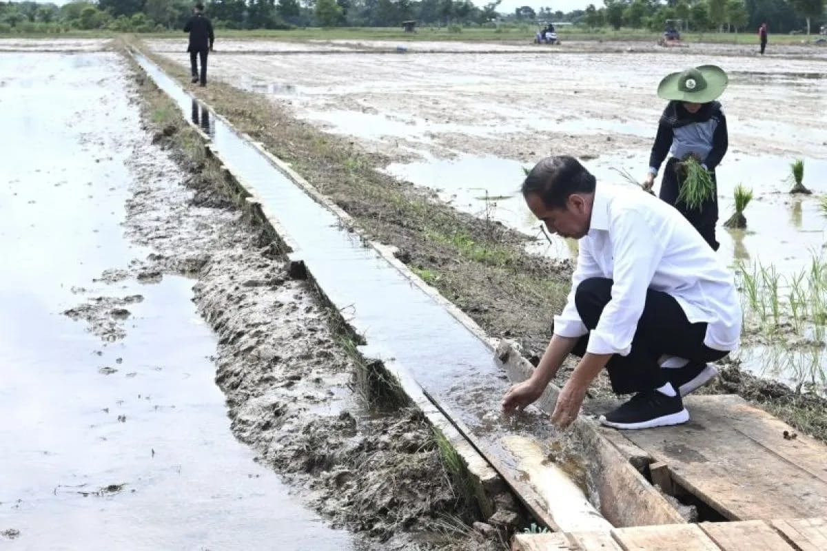 atasi kekeringan tani presiden perintahkan kementan tambah pompa 75806