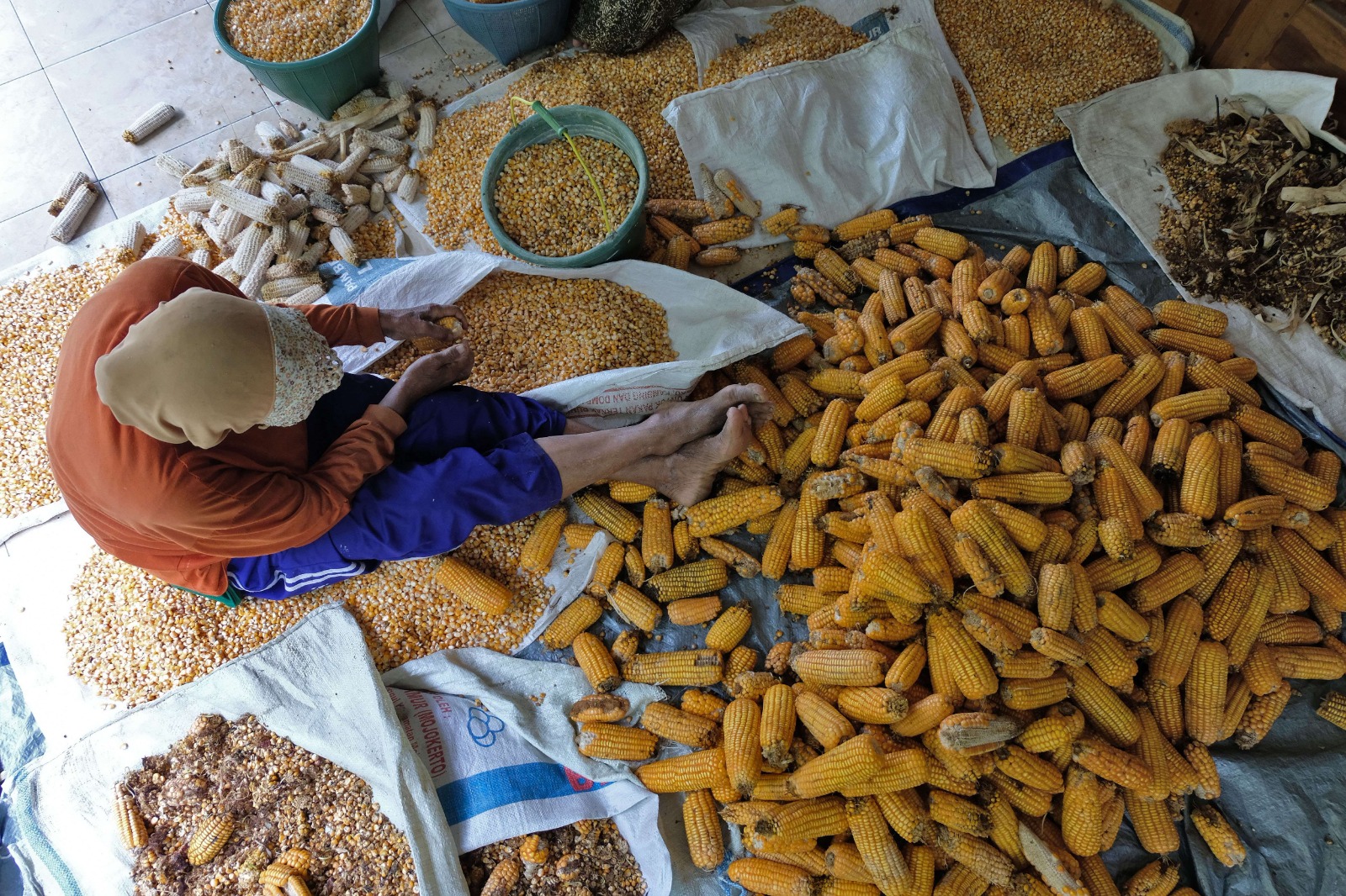 badan pangan nasional pastikan ketersediaan jagung aman jika produksi capai target 73362
