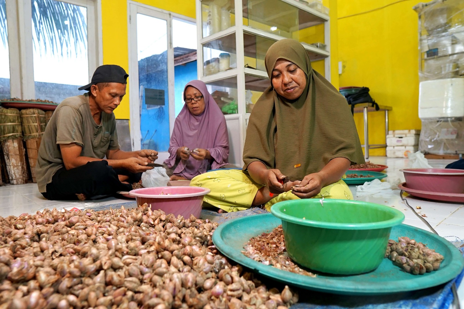 badan pusat statistik sebut harga bawang merah masih rendah dibanding agustus 79170