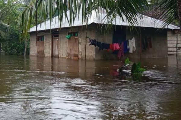 banjir kepulauan aru 150 rumah terendam warga mengungsi 74191