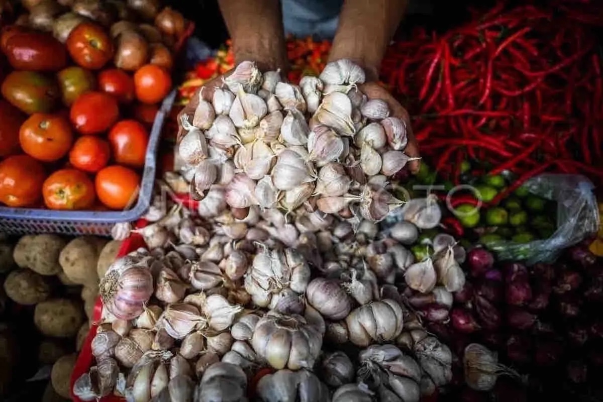 bapanas mencatat harga sejumlah pangan di tingkat pedagang eceran naik 77319