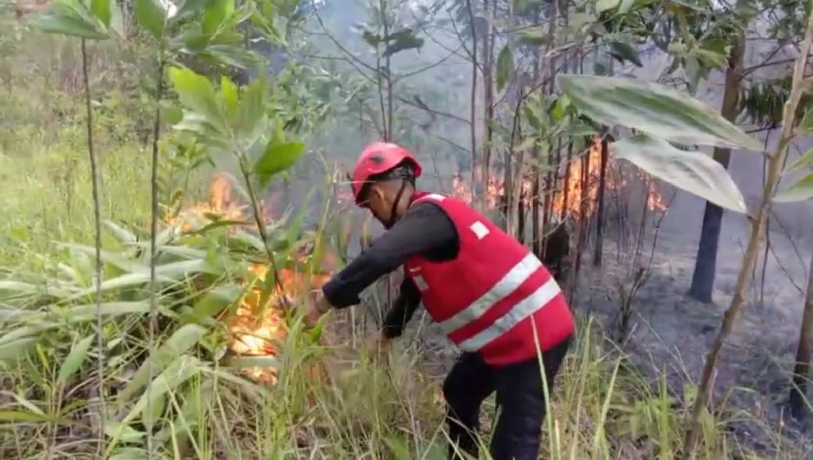 bersama bpbd tim respons bencana batalyon a pelopor brimob polda kaltim padamkan karhutla di balikpapan 72692