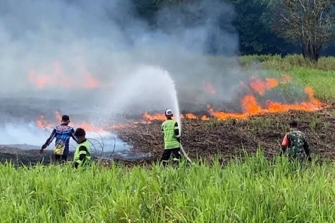 bnpb kasus karhutla paling banyak terjadi di pulau sumatra 71624