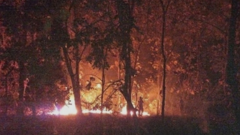 bpbd dalami sebab kebakaran hutan jati di taman nasional baluran situbondo 59507