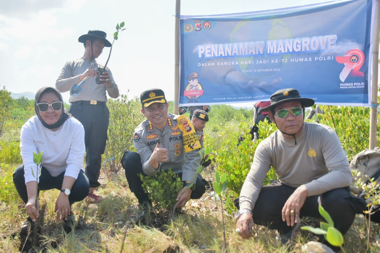 dalam rangka hut humas ke 72 polda ntb bersama masyarakat tanam pohon mangrove 64770