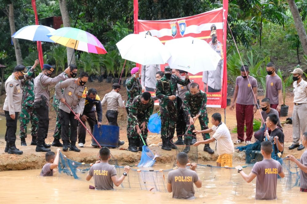 dalam rangka ketahanan pangan polda kepri panen raya ikan air tawar 36441
