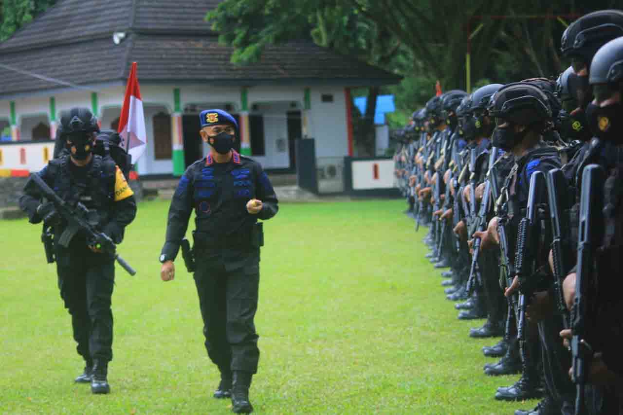 dansat brimob polda maluku lepas 105 personel dikirim ke papua 22951