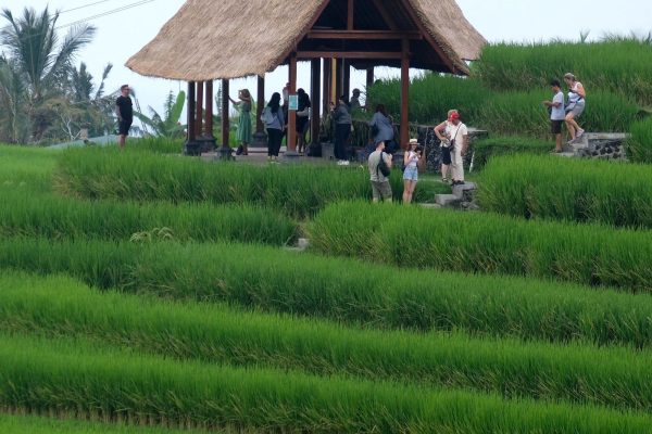 delegasi utama world water forum bebas dari pungutan wisman 73143