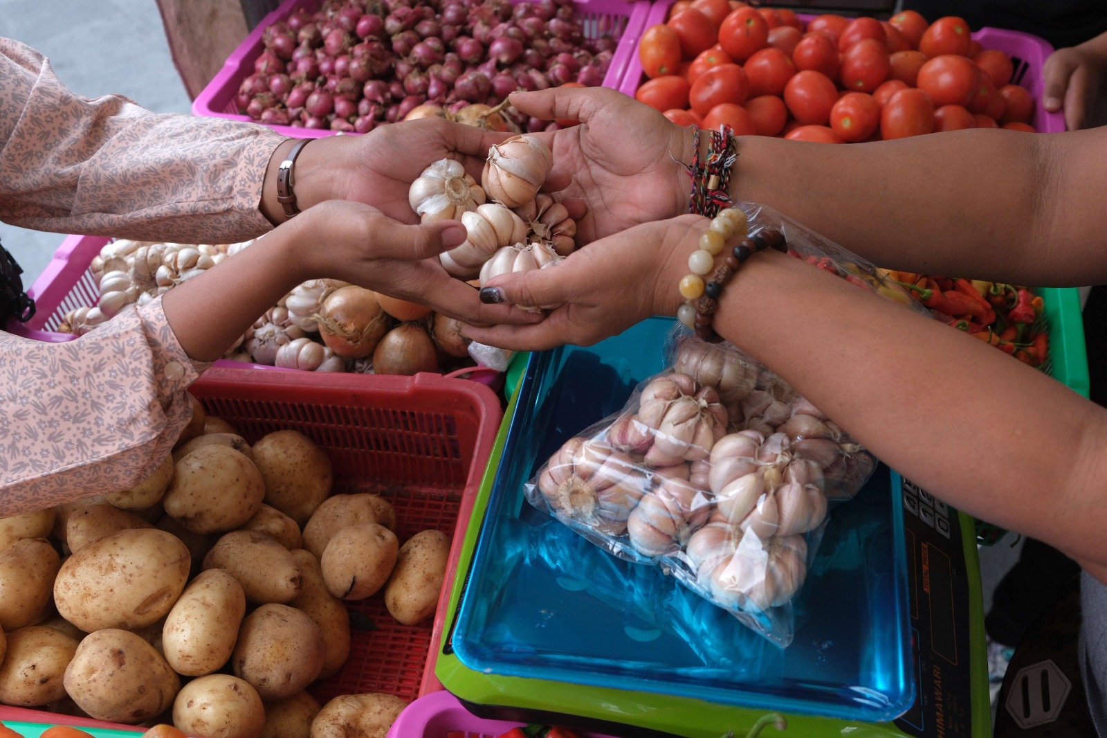 deputi iii ksp bidang perekonomian sebut harga bawang putih masih tinggi 81632