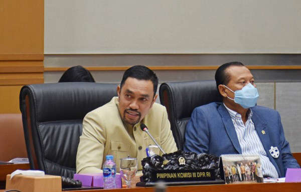 deputy chairman commission iii supports propam authority expansion 44738