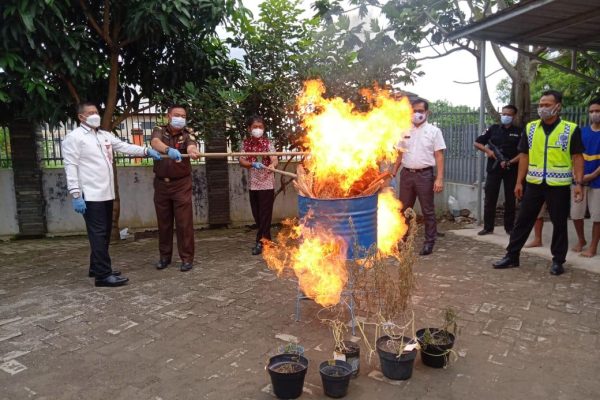 dirnarkoba polda banten hadiri pemusnahan barang bukti narkotika 15985