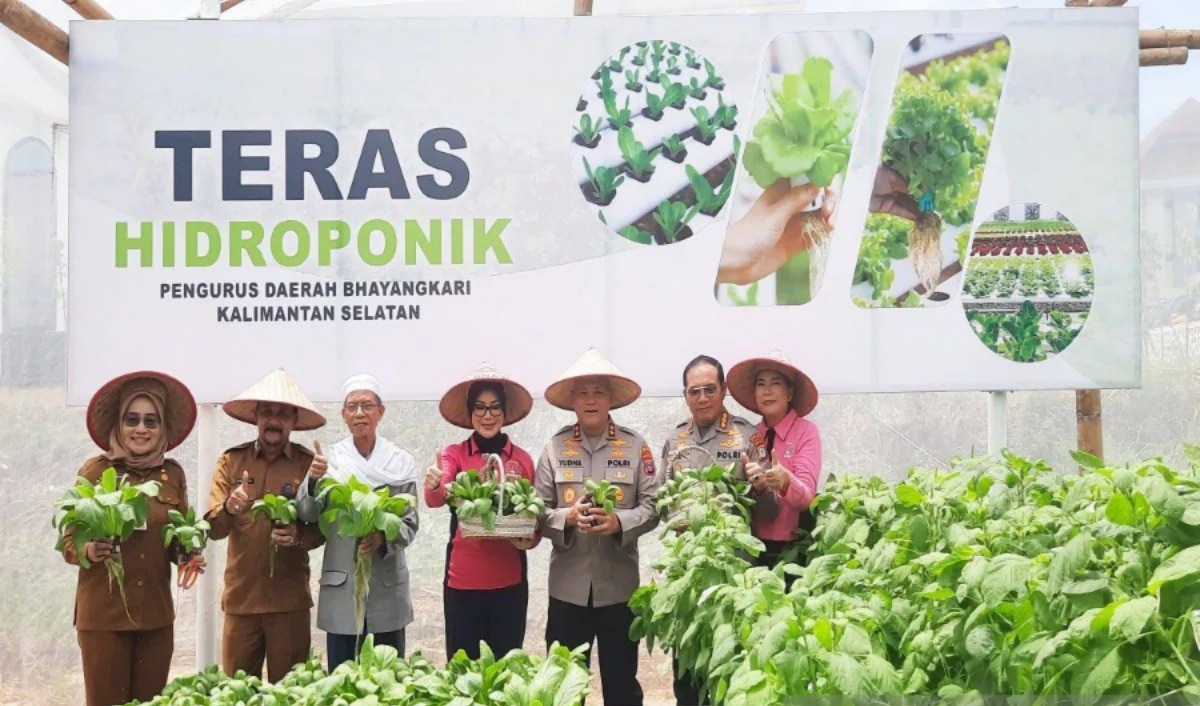 dukung program ketahanan pangan polda kalsel panen ratusan kilogram sayur 84626