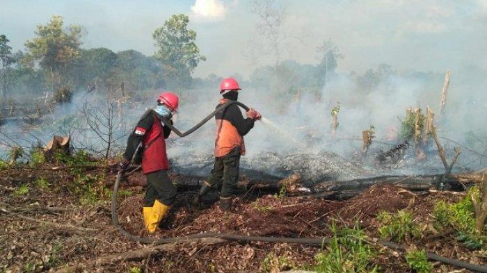 during january august 2021 riau regional police successfully handled 20 cases of forest and land fires and named 24 suspects 41512