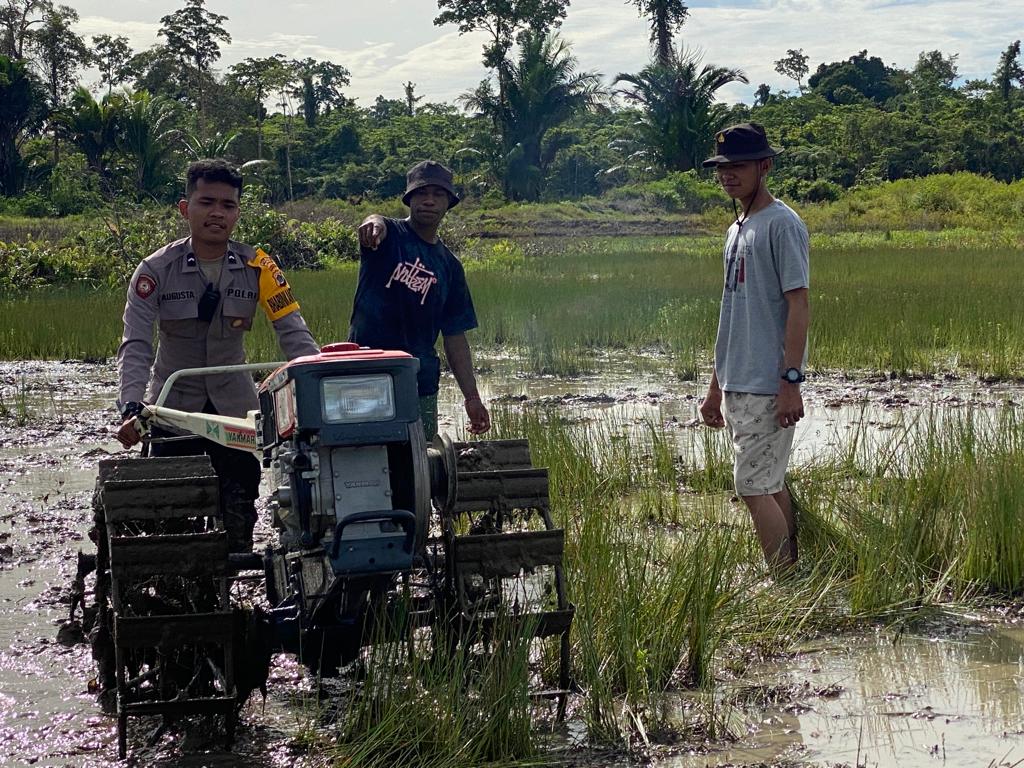 garap sawah spot pertanian satgas binmas ops damai cartenz 2022 turun langsung membantu masyarakat 45282