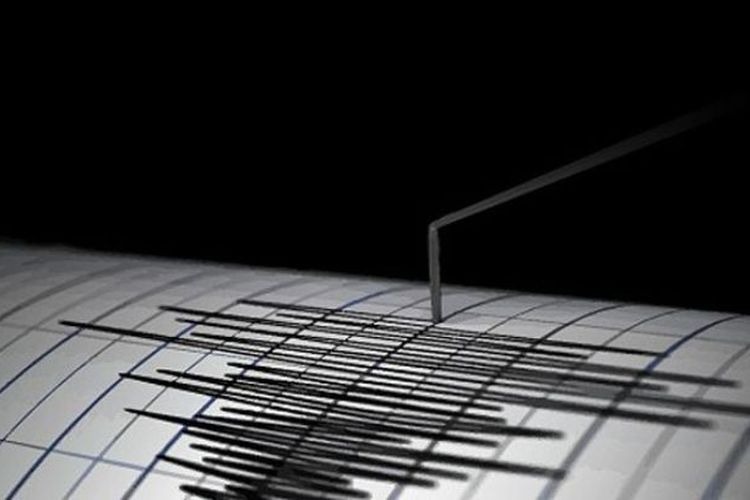 gempa magnitudo 3 8 guncang wilayah yalimo papua 76986