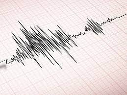 gempa magnitudo 4 5 guncang wilayah maluku tenggara barat maluku 81144