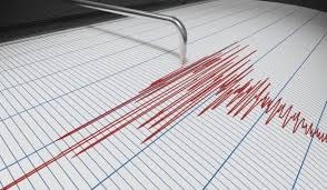 gempa magnitudo 4 5 guncang wilayah yalimo papua 79882