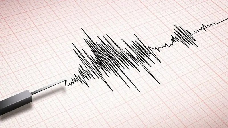 gempa magnitudo 46 guncang wilayah alor nusa tenggara timur 76801