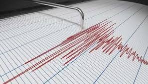 gempa magnitudo 46 guncang wilayah ambon 74958