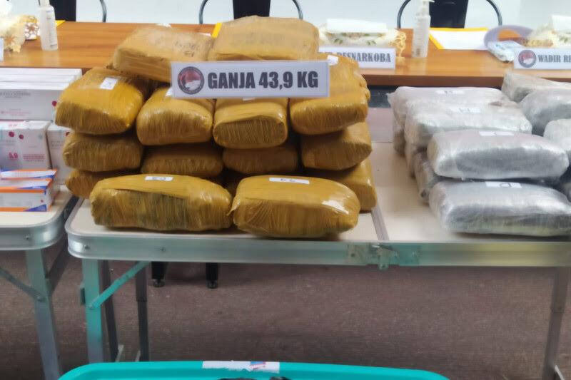greater jakarta metropolitan regional police successfully prevents circulation of 43 9 kg cannabis 41081