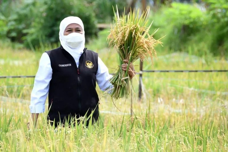 gubernur jatim ajak masyarakat sukseskan sensus pertanian 2023 58591