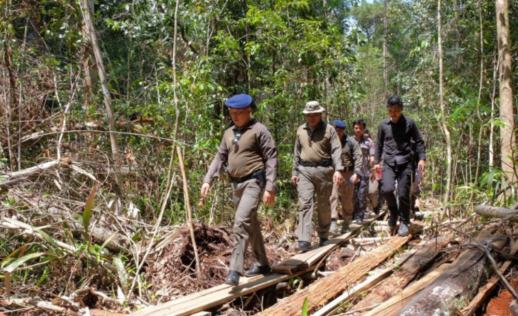 hingga november 2021 polda riau berhasil ungkap 29 kasus illegal logging dan tangkap 41 pelaku 25014