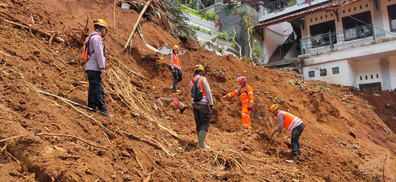 hingga saat ini upaya pencarian korban gempa cianjur terus dilakukan 52048