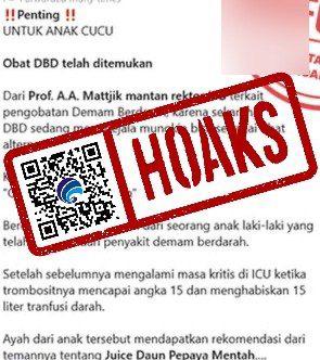 hoaks ahli klaim jus daun pepaya mentah sembuhkan demam berdarah 71157