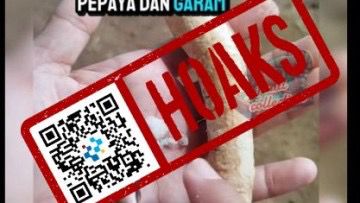 hoaks akar pepaya dan garam ampuh atasi gigitan hewan berbisa 83442