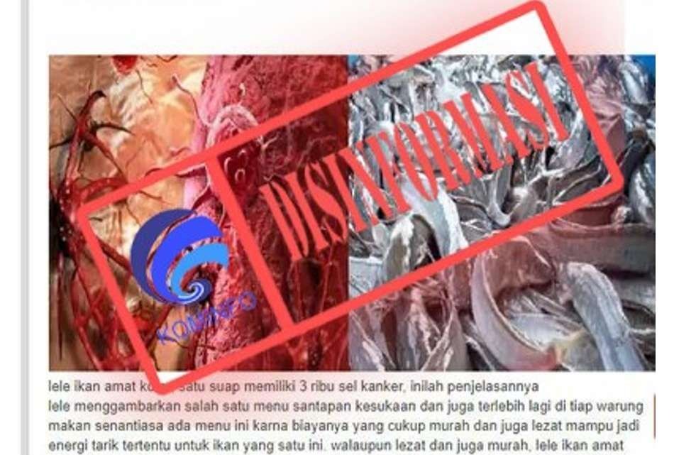 hoaks ikan lele mengandung ribuan sel kanker 62692