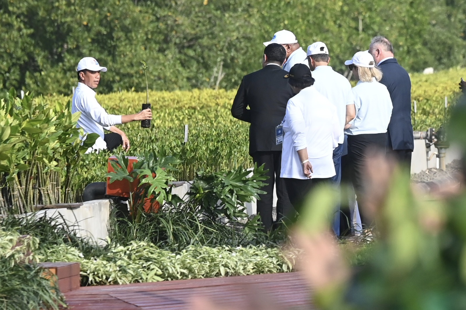 indonesia tunjukkan konservasi mangrove pada delegasi world water forum 2024 74226