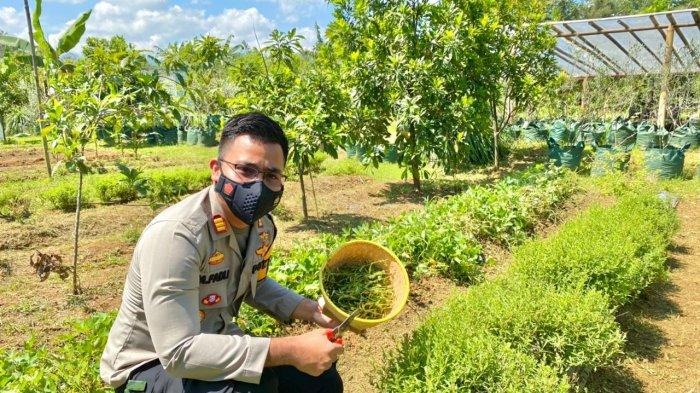 innovation for the country police personnel in bogor successfully find a combination of liquid sugar for diabetics 39207