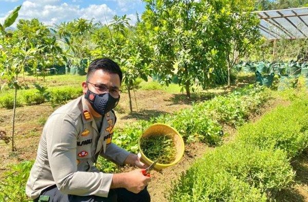 inovasi untuk negeri personel polri di bogor berhasil temukan kombinasi gula cair untuk penderita diabetes 28788