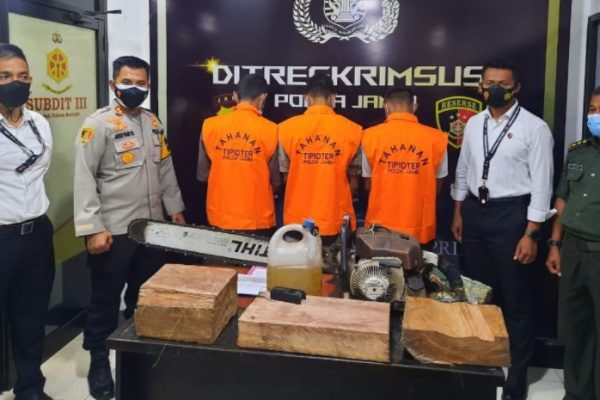 jambi police together with muaro jambi regional police successfully arrest three illegal logging perpetrators 39189