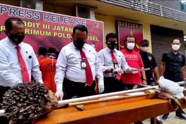 jatanras polda sumsel amankan 22 pelaku pencurian buah sawit di bayung lencir 24767