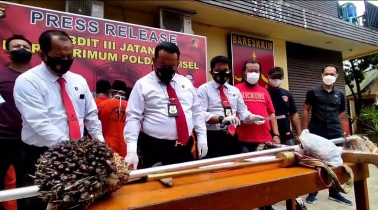 jatanras polda sumsel amankan 22 pelaku pencurian buah sawit di bayung lencir 24767