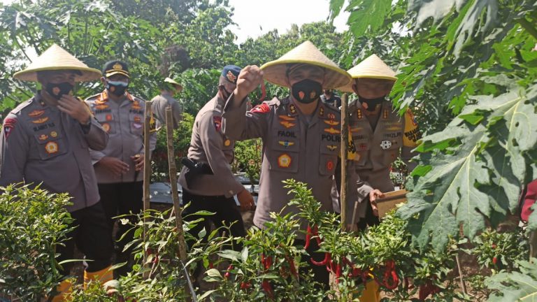 jelang hut brimob ke 75 kapolda jatim resmikan pos penjagaan mako sat brimob panen raya dan tabur benih ikan 32626