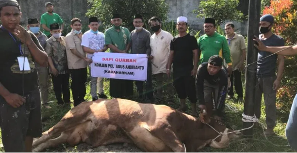 kabaharkam polri serahkan sapi kurban ke pwnu provinsi sumut 34839