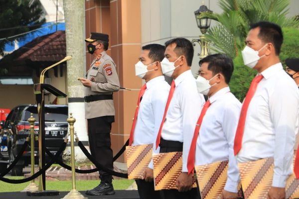 kapolda diy beri penghargaan kepada anggota yang sukses ungkap keberadaan ladang ganja 2 hektar 23276
