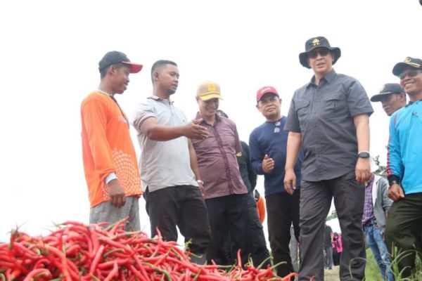 kapolda jambi berkomunikasi langsung dengan petani melihat kondisi panen 49607