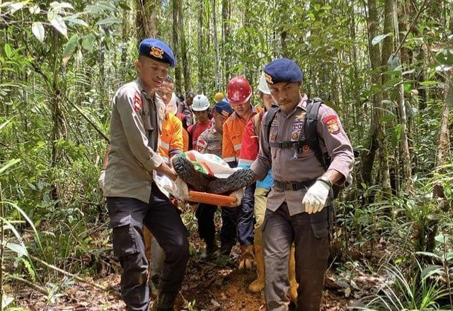 kapolda malut meninjau langsung evakuasi korban jatuhnya helikopter di halmahera 70470