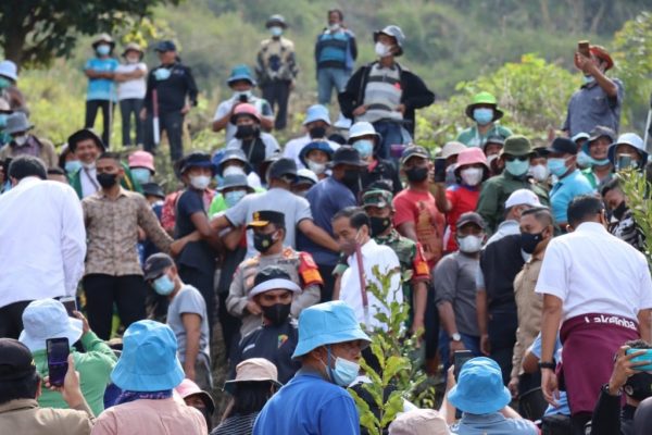 kapolda sumut dampingi presiden ri berkunjung ke lokasi penanaman pohon upsa di desa simangulampe 23175