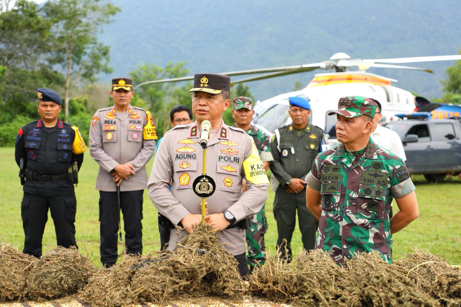 kapolda sumut dan pangdam i bb pimpin operasi pemberantasan ladang ganja terluas di pulau sumatera utara 66082