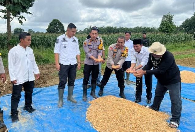 kapolres bungo pimpin langsung gelaran panen raya jagung perdana di dusun suka jaya 84703